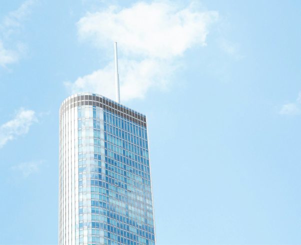 Manage SaaS Subscriptions & Costs